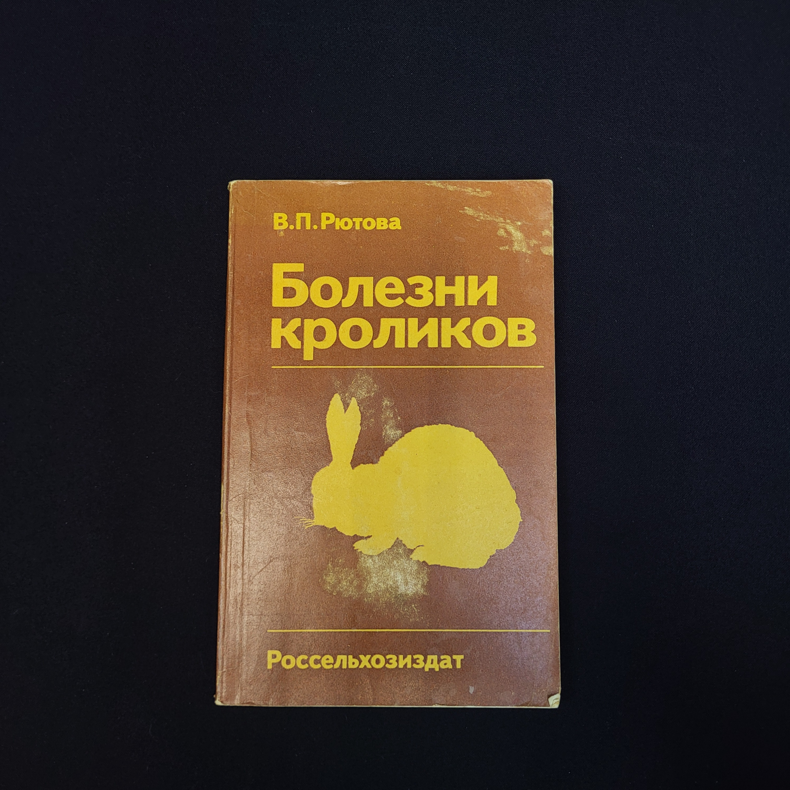 Картинка 1