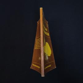Картинка 2