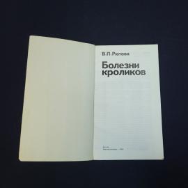 Картинка 4
