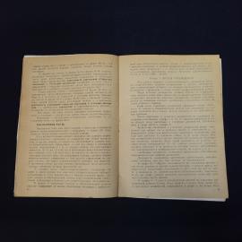 Картинка 6