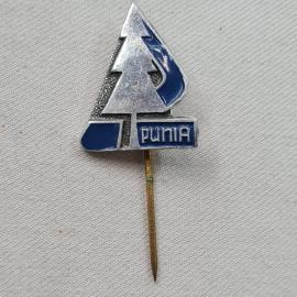 Значок СССР. Рига, стилизованная ель и надпись RUPIA, городской сувенир. Винтажный значек.