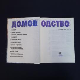 Картинка 3