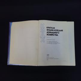 Картинка 4