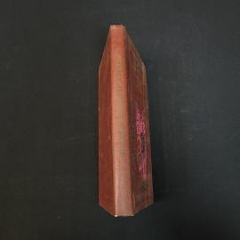 Картинка 2