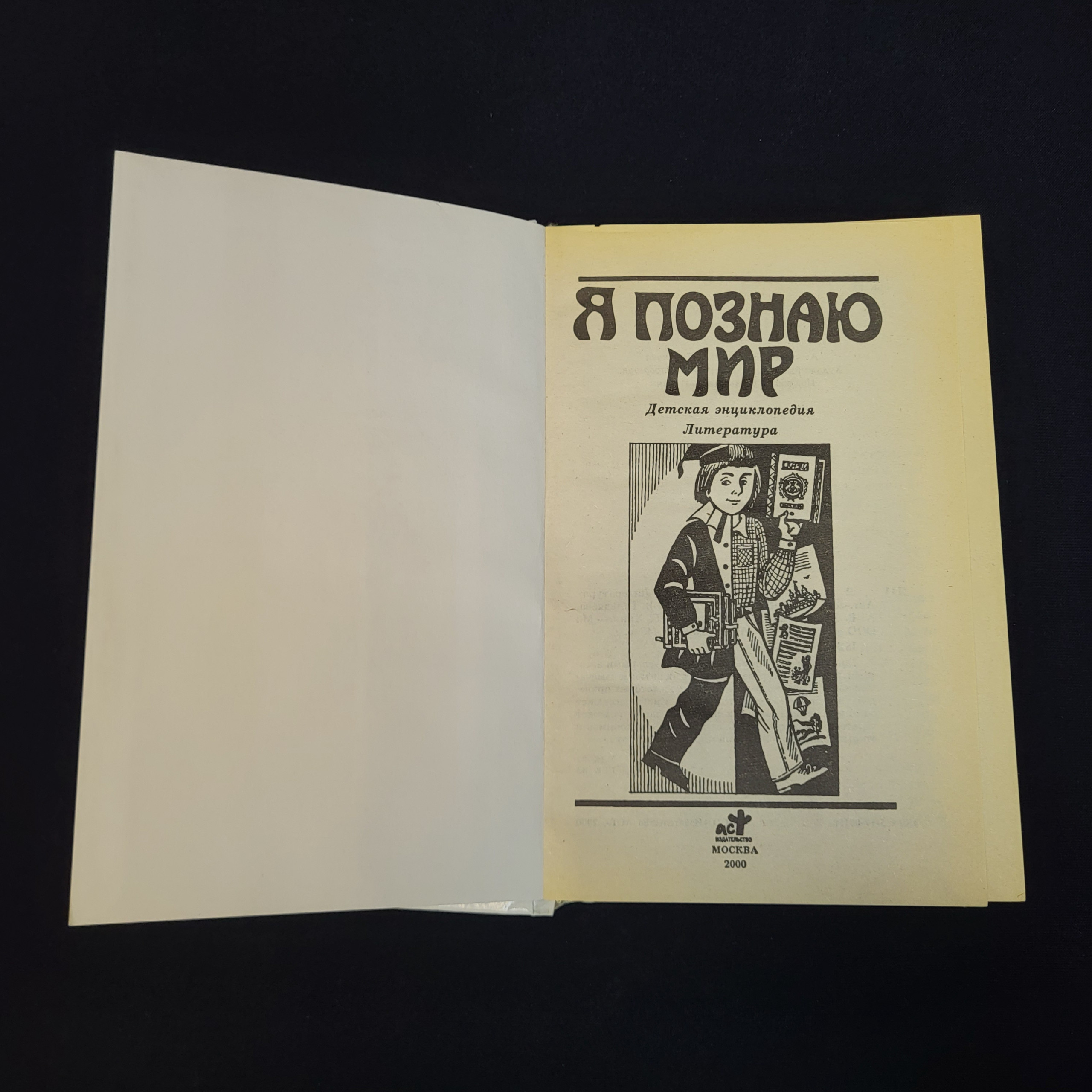 Картинка 2