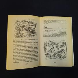 Картинка 5