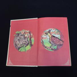 Картинка 4