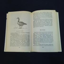 Картинка 7