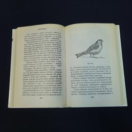 Картинка 8