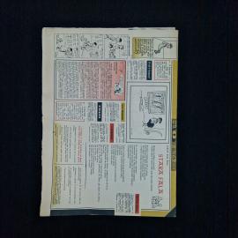 Картинка 5