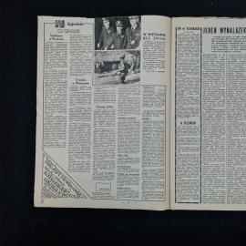 Картинка 3