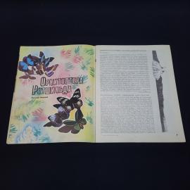 Картинка 3