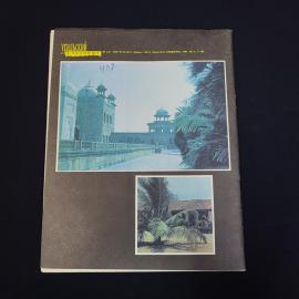 Картинка 2