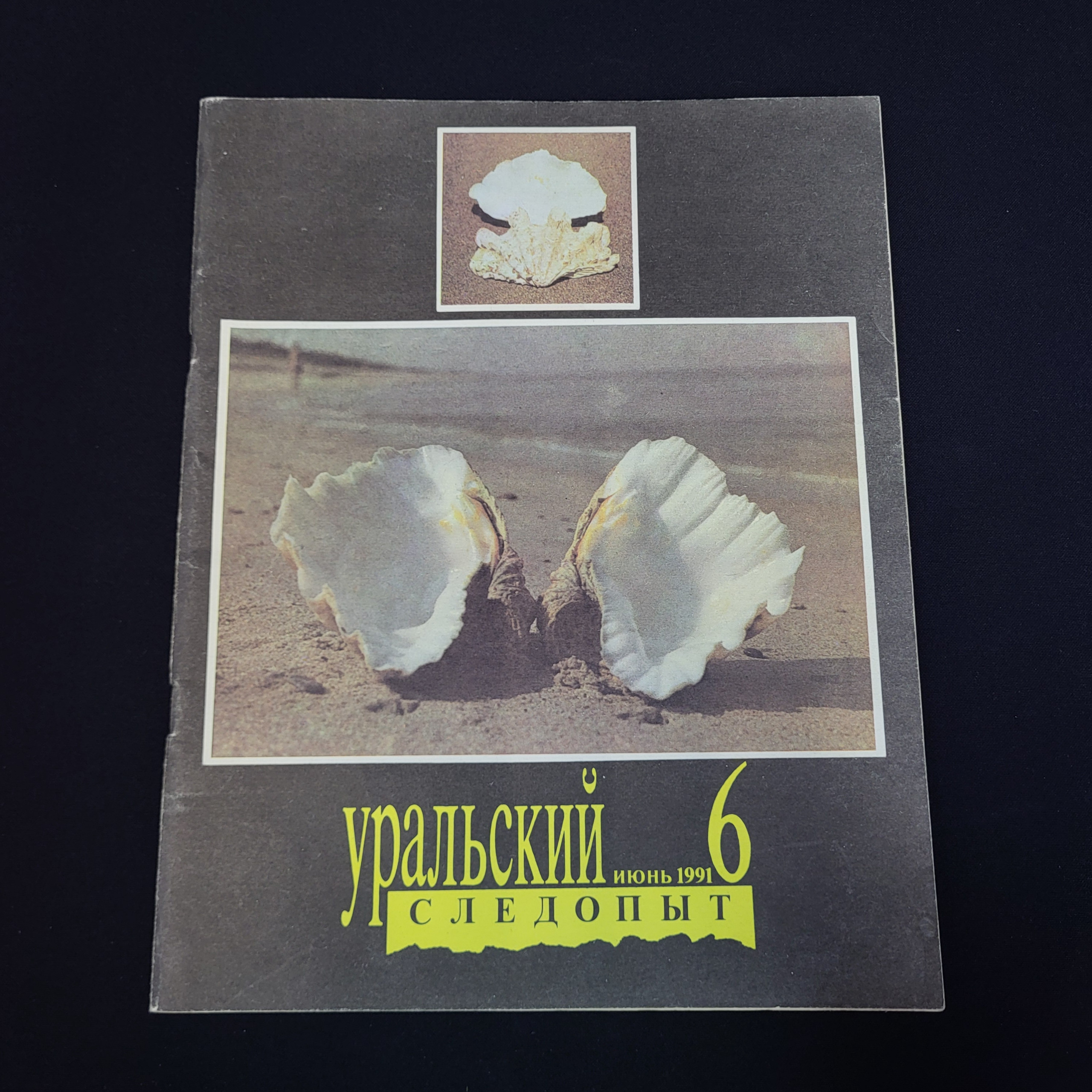 Картинка 1