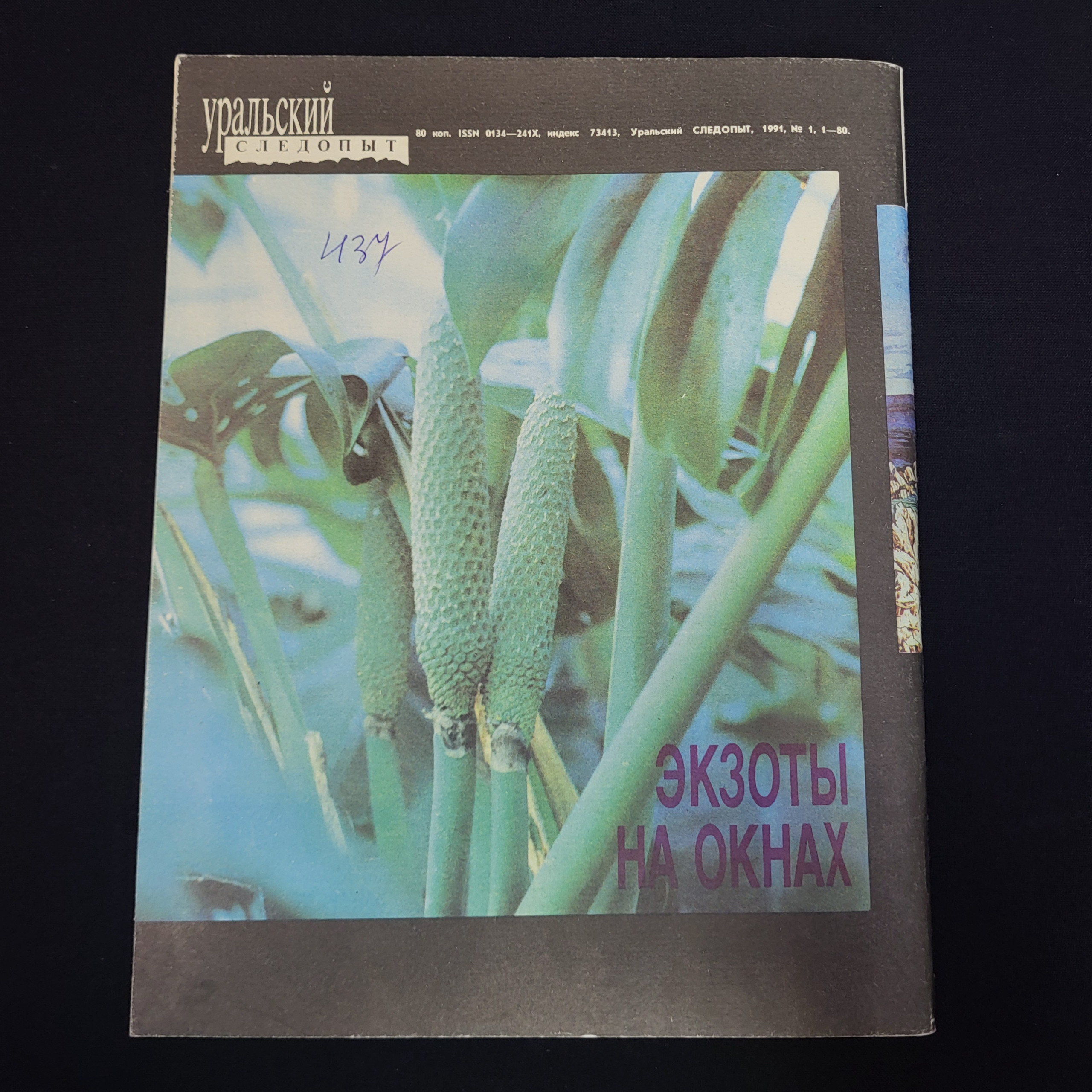 Картинка 2
