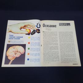 Картинка 3