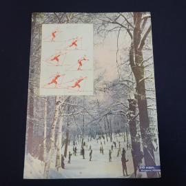 Картинка 2