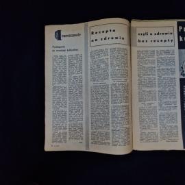 Картинка 3