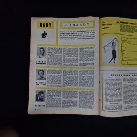 Картинка 4