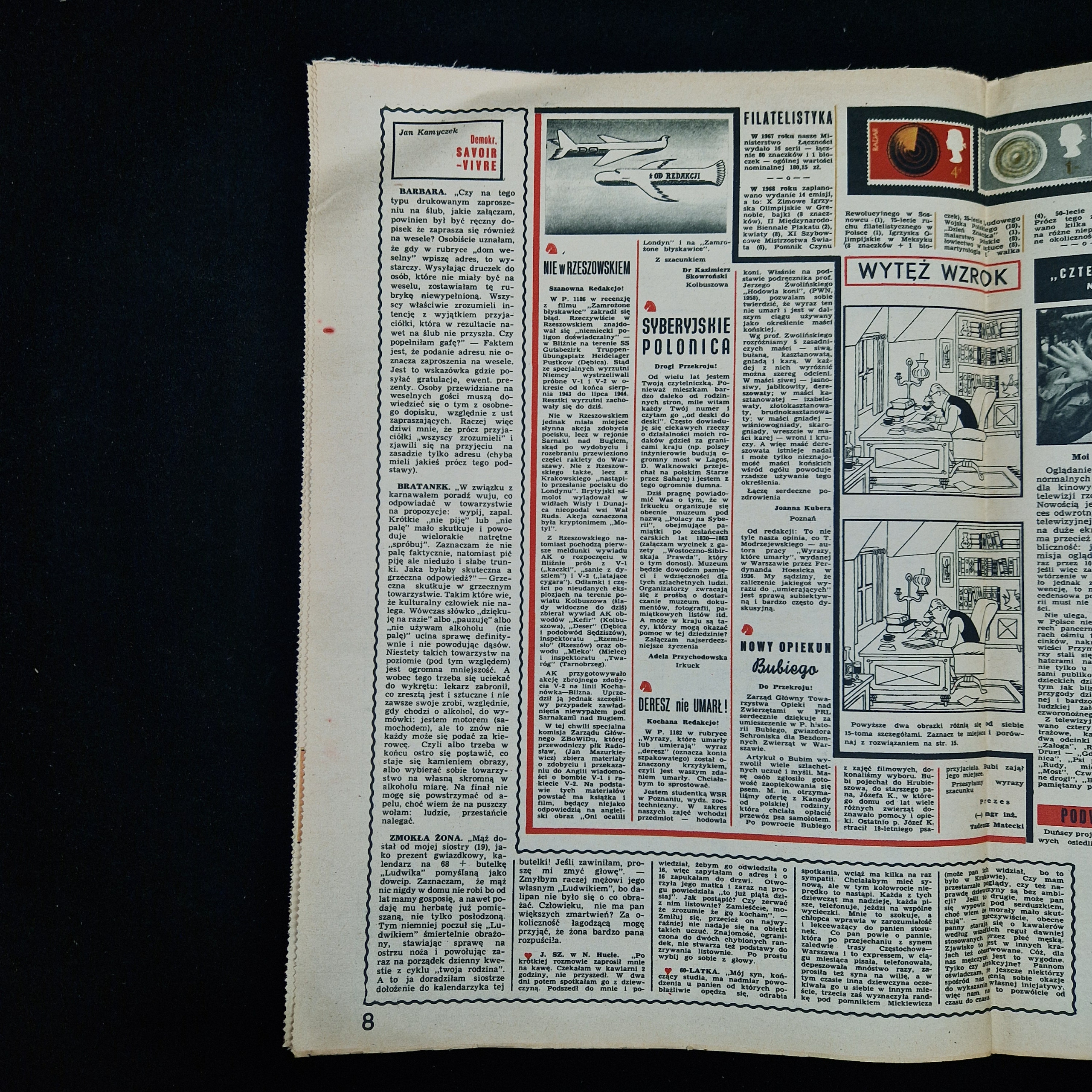 Картинка 4