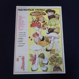Картинка 2