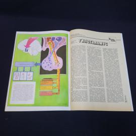 Картинка 4