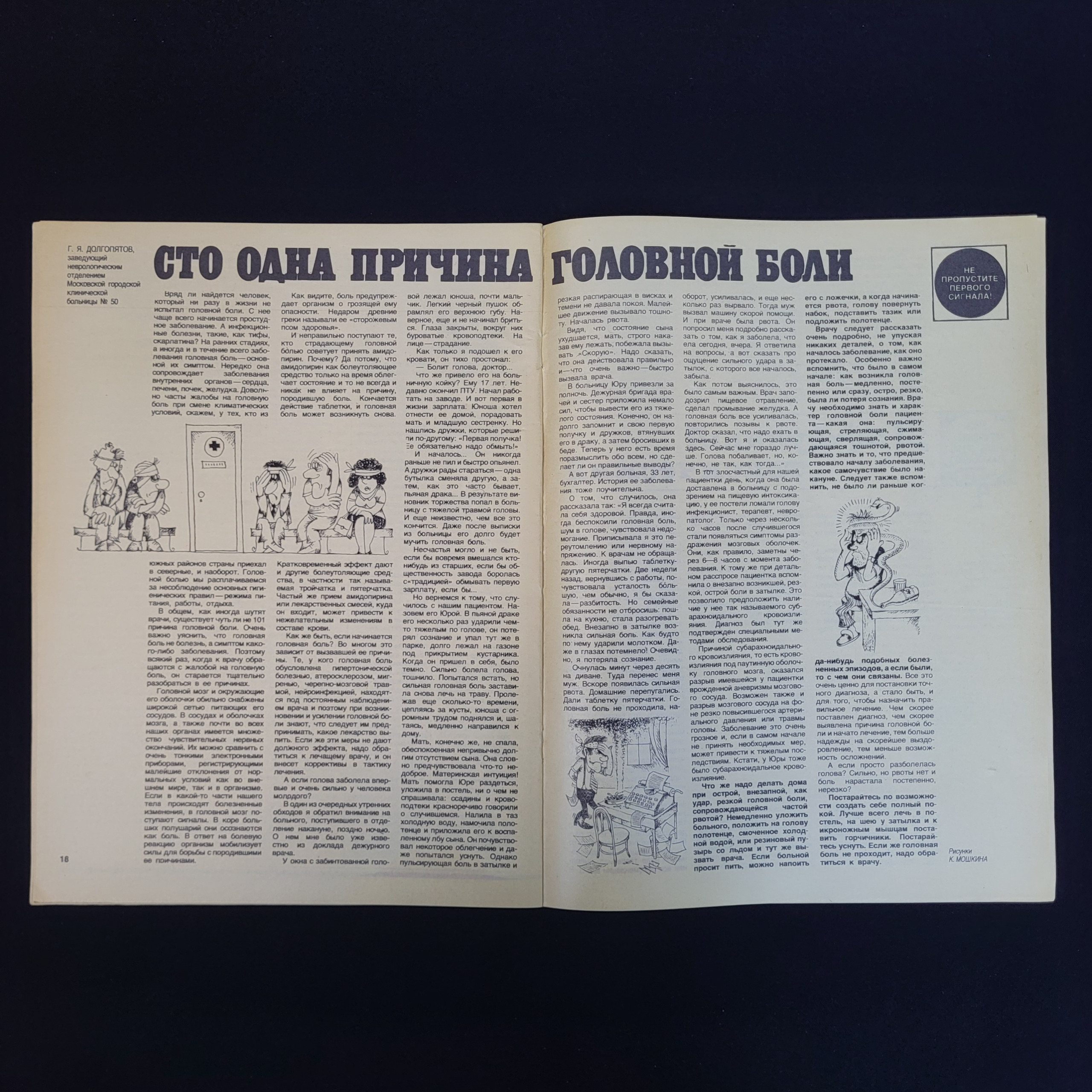 Картинка 4