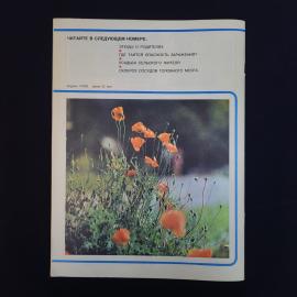 Картинка 2
