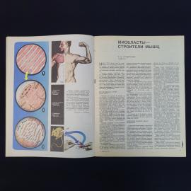 Картинка 4