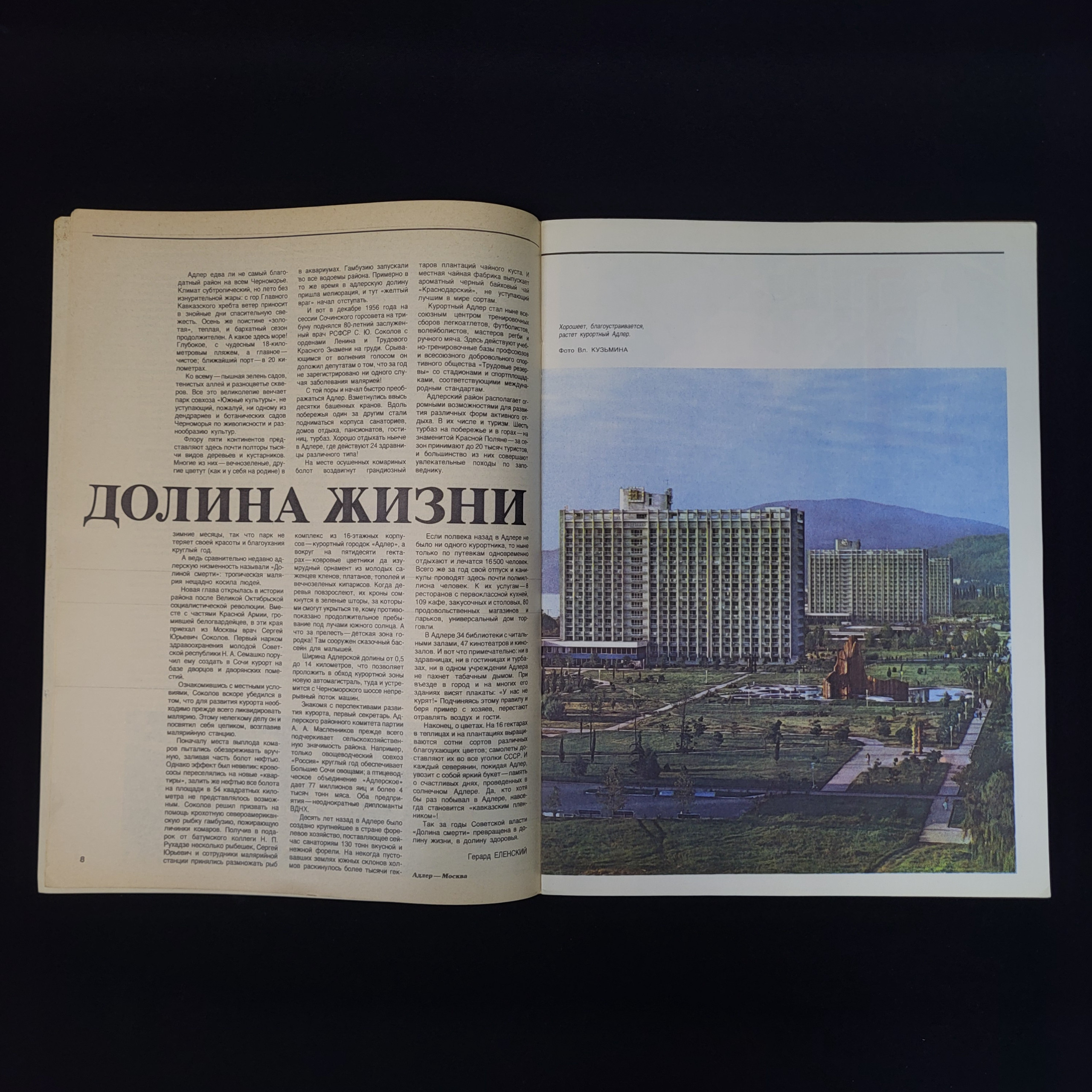 Картинка 4