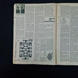 Картинка 4