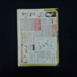 Картинка 2