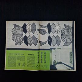 Картинка 3