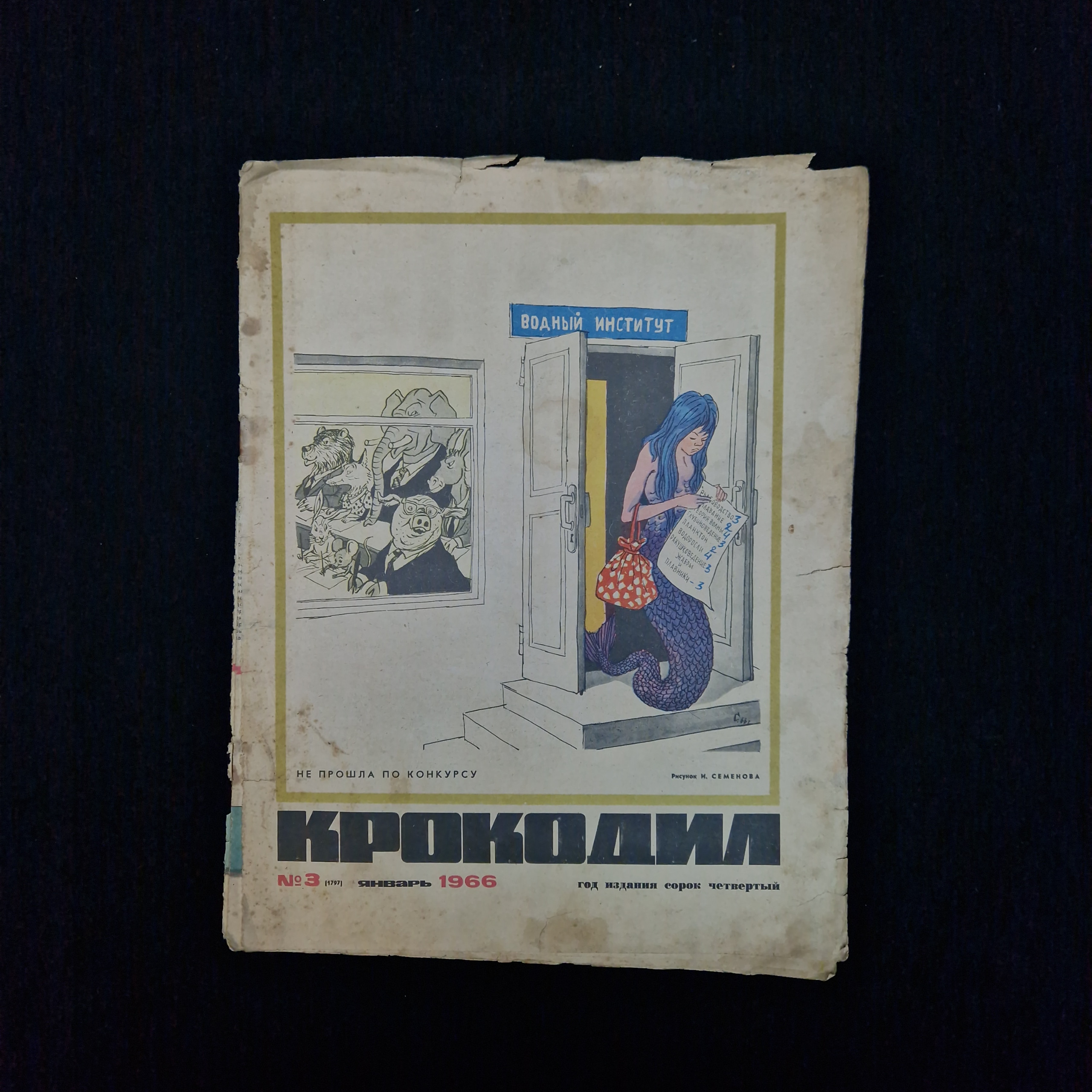 Картинка 1