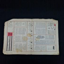 Картинка 4
