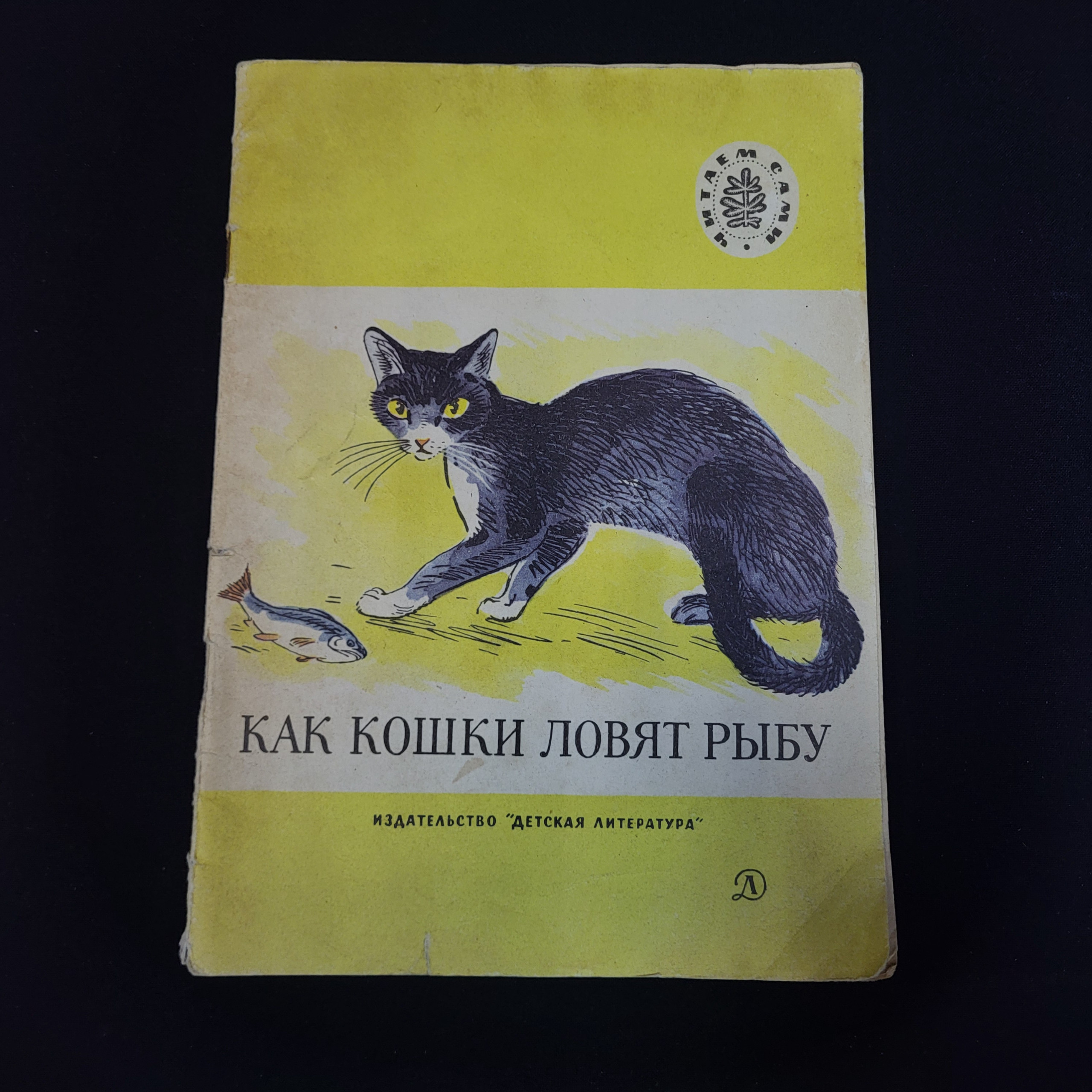 Картинка 1