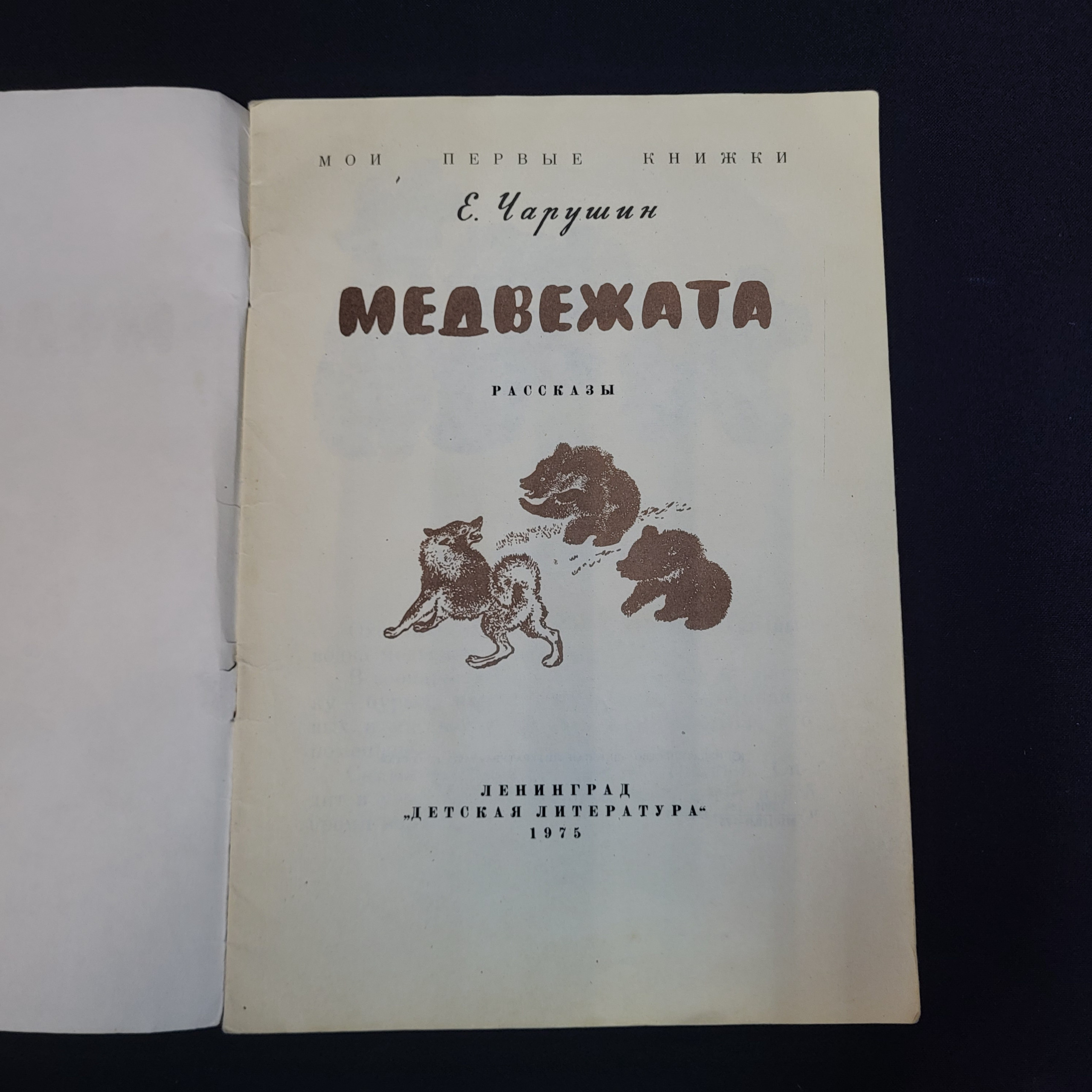 Картинка 3