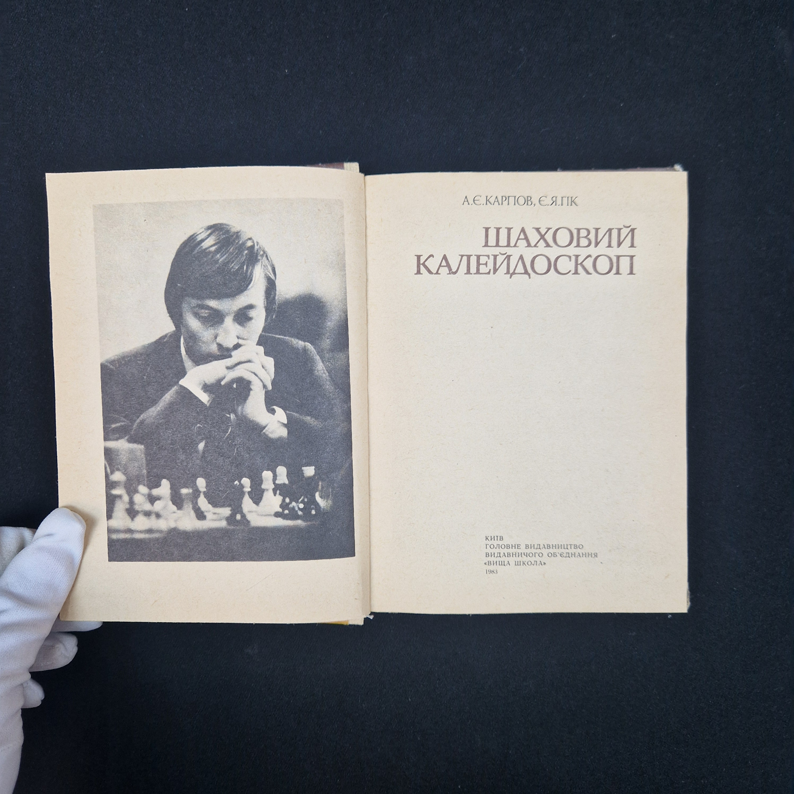 Картинка 2