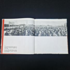 Картинка 3