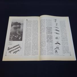 Картинка 4