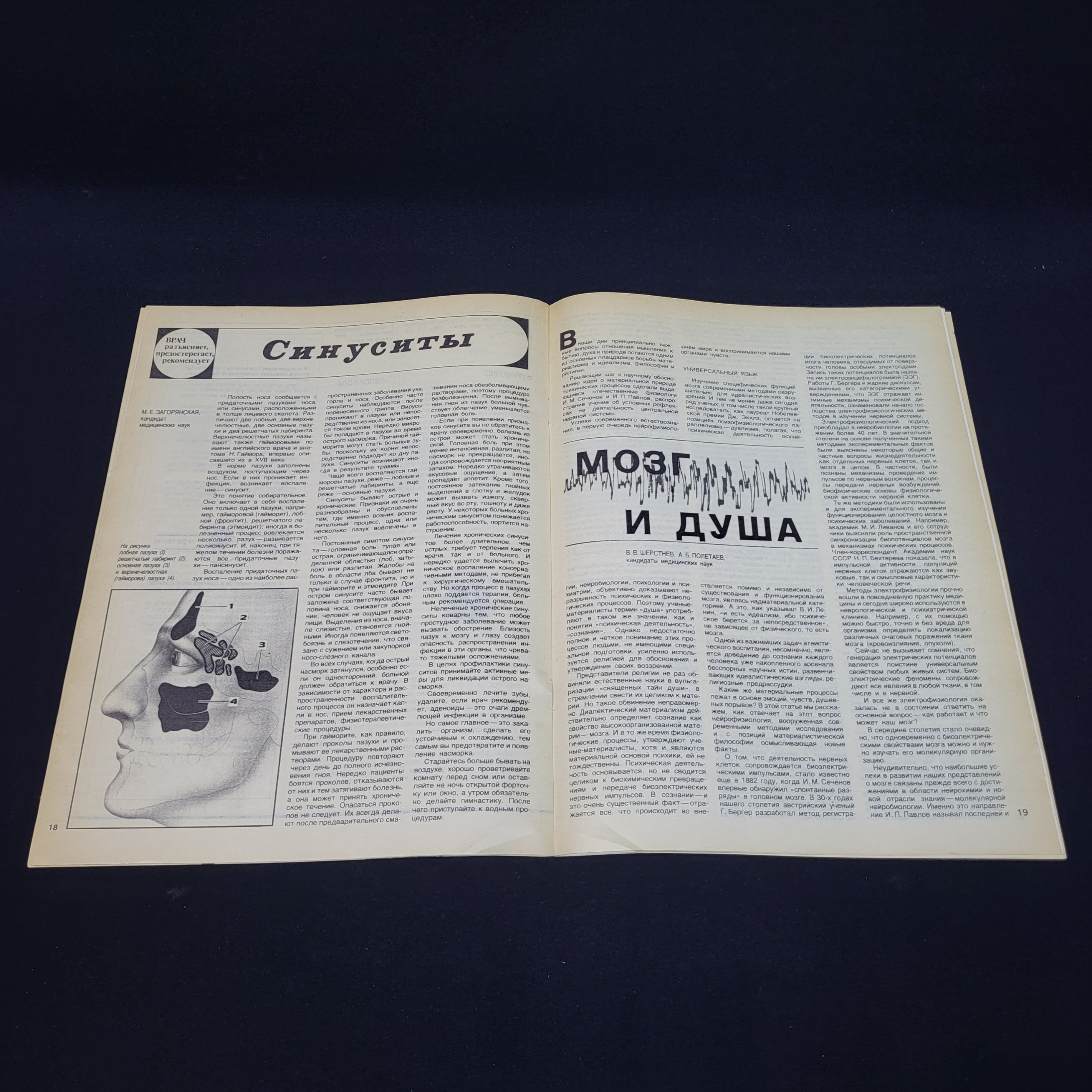 Картинка 4