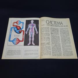 Картинка 4