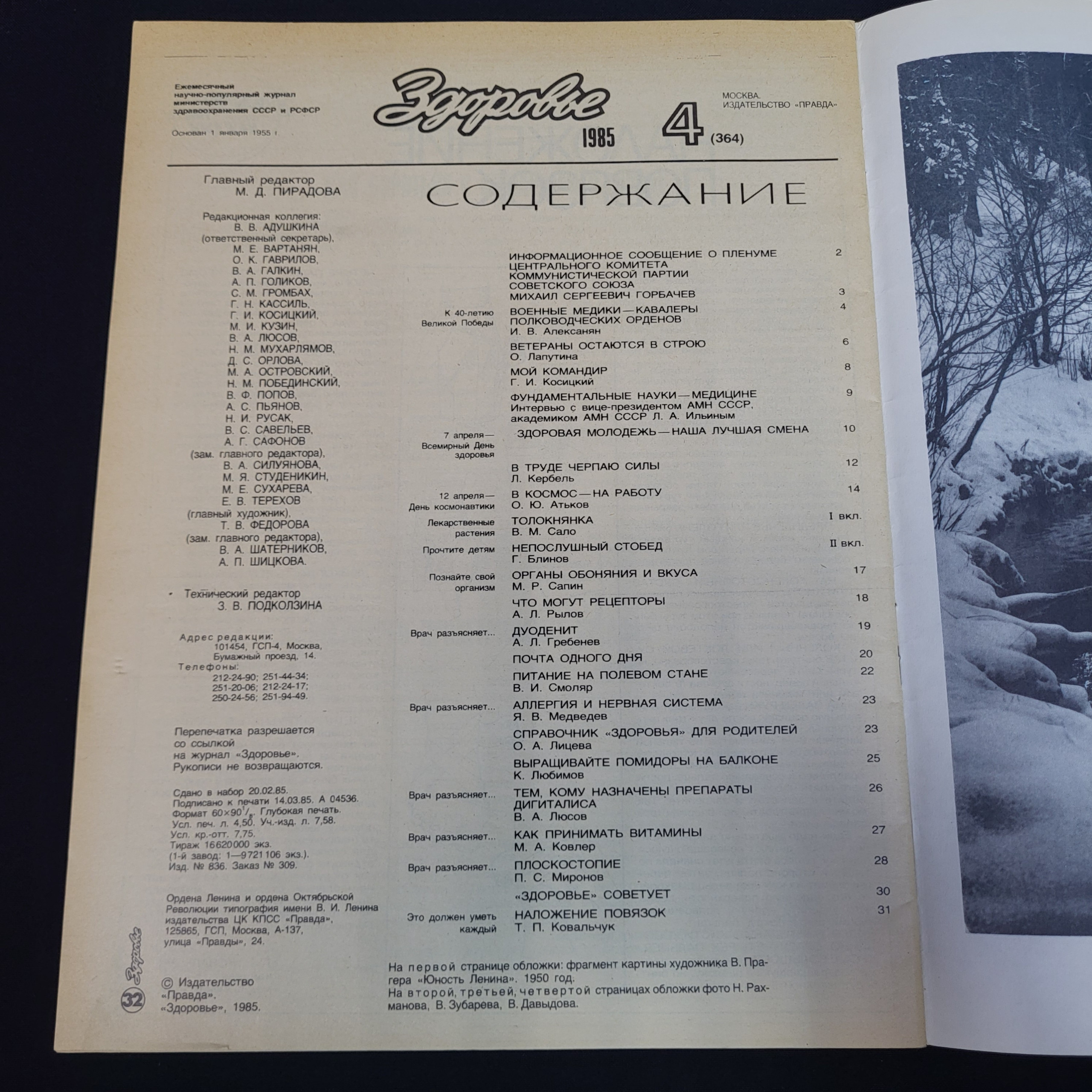 Картинка 3