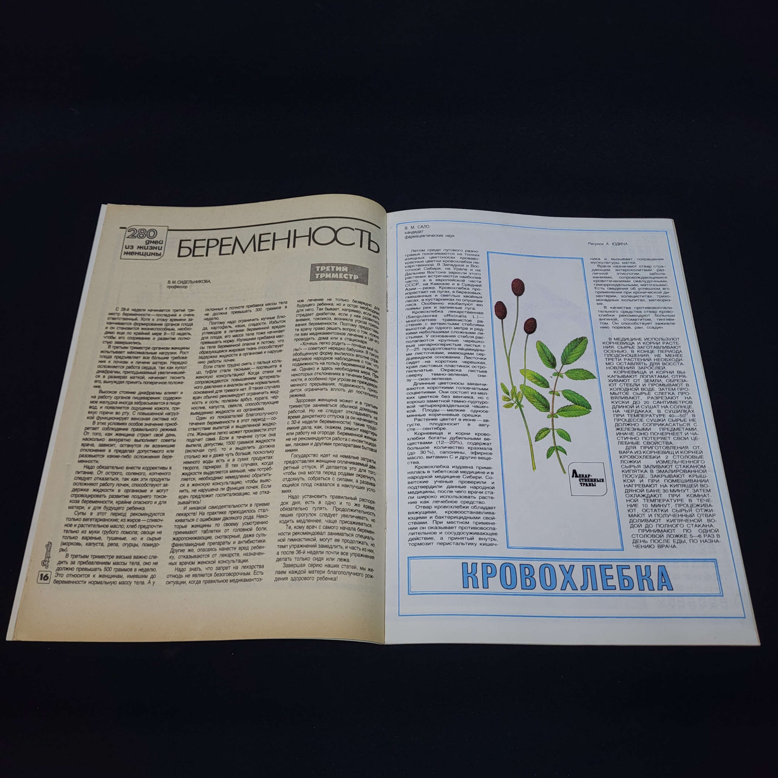 Картинка 3