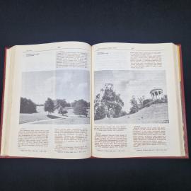 Картинка 3