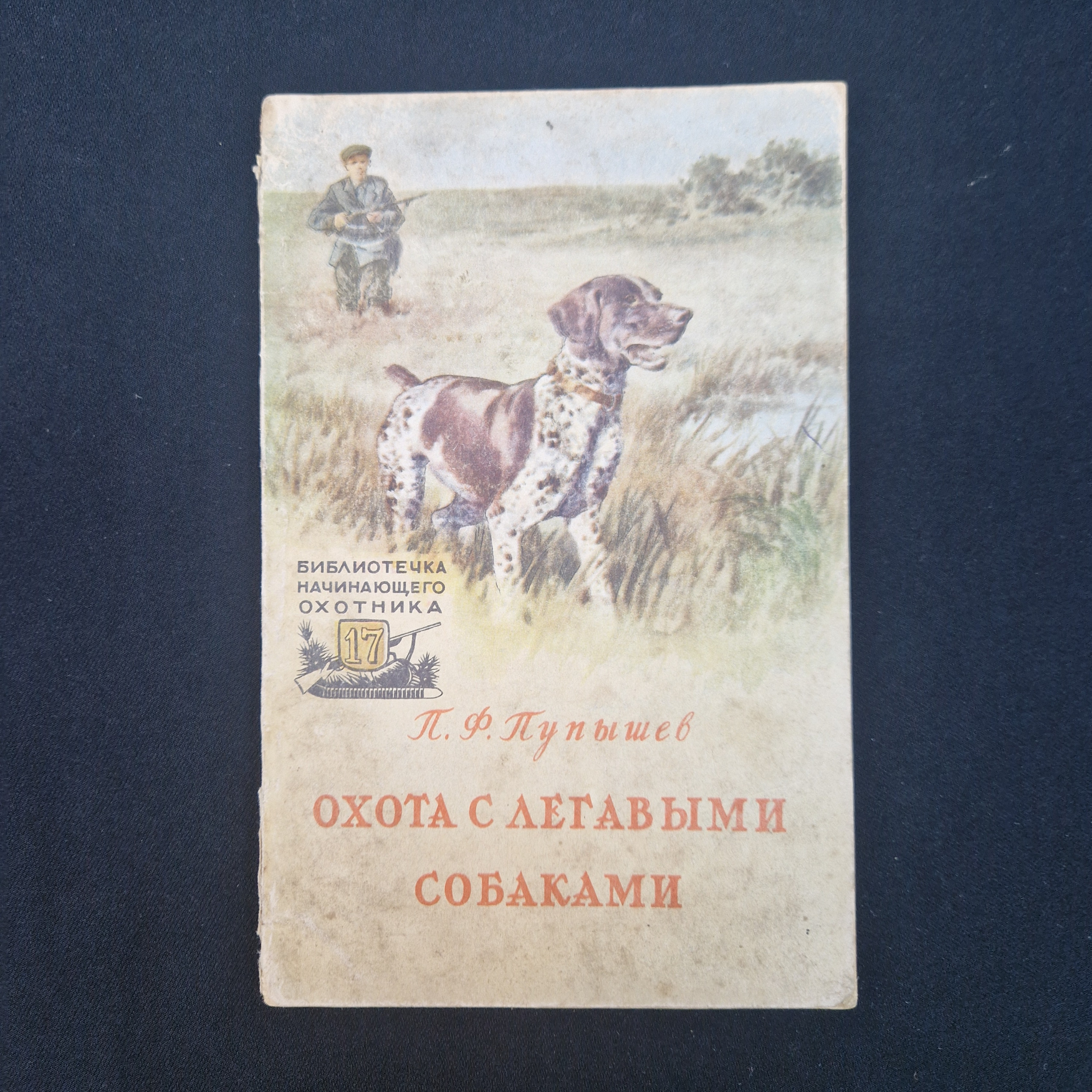 Картинка 1