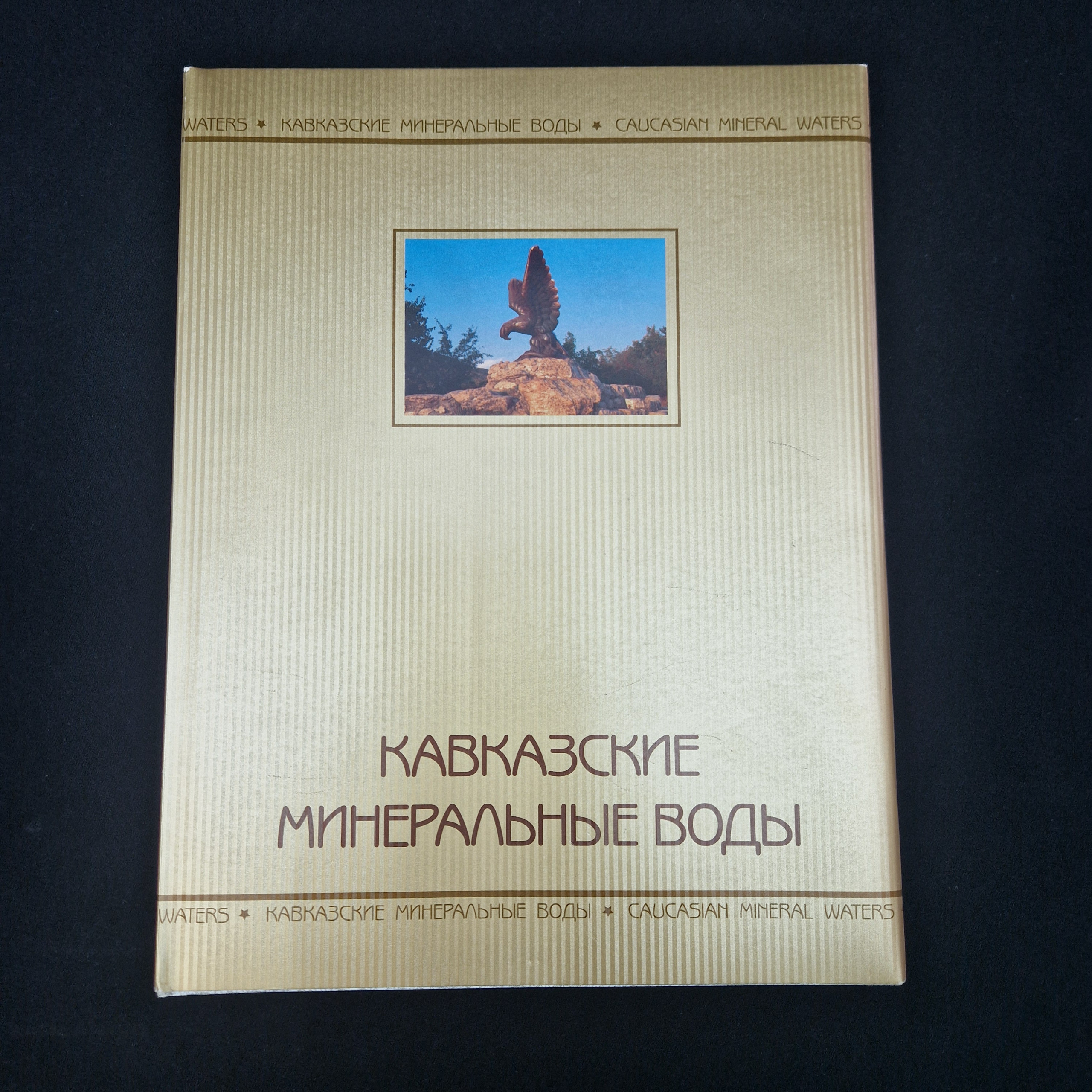 Картинка 1