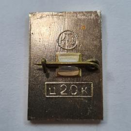 Картинка 2