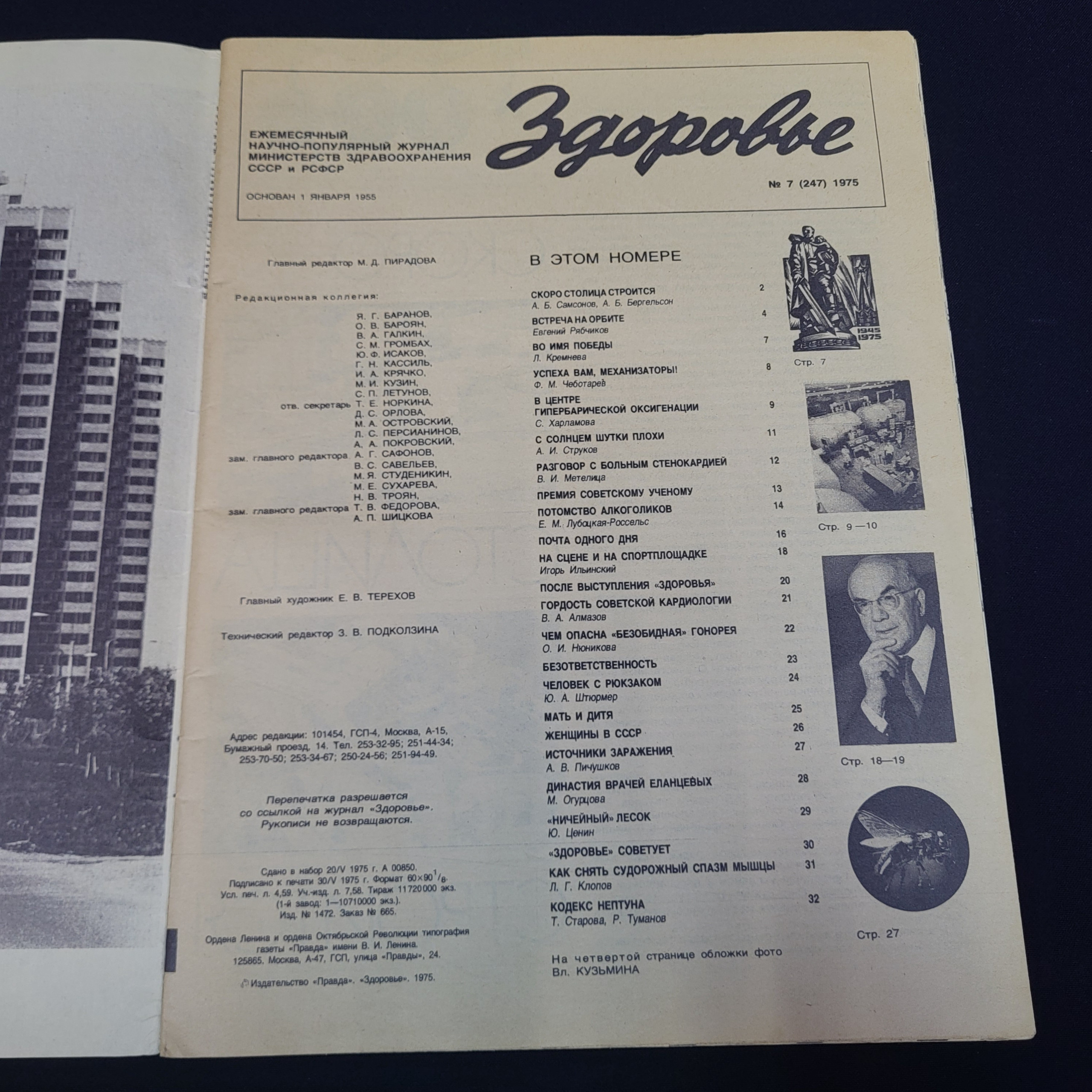 Картинка 3
