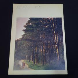 Картинка 2